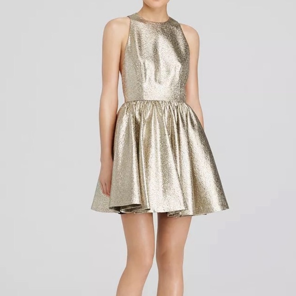 Alice and Olivia Tevin Metallic Dress